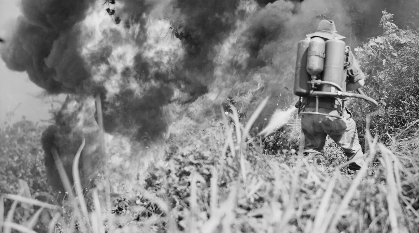 A man with a flamethrower on his back sets fire to the grass as smoke billows ahead.
