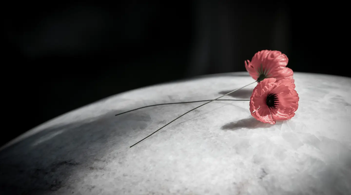 Poppy lays on a marble sphere from the sculpture, For Every Drop Shed in Anguish