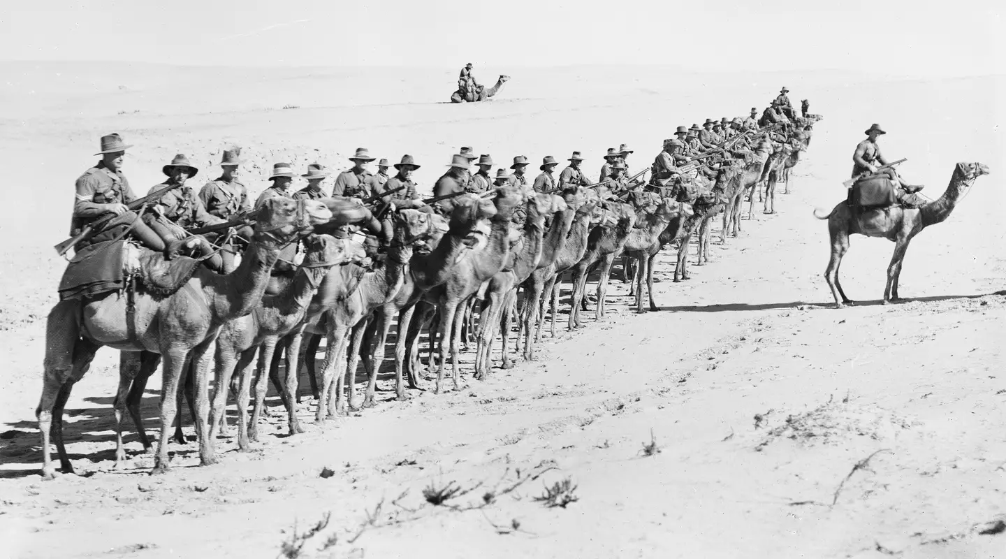 Australians of the Imperial Camel Corps on parade near Rafa, 1918