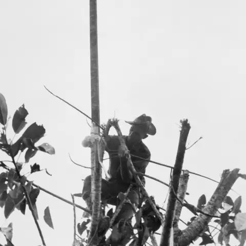 Sergeant Tom “Diver” Derrick DCM hoists the Australian flag above the village of Sattelberg