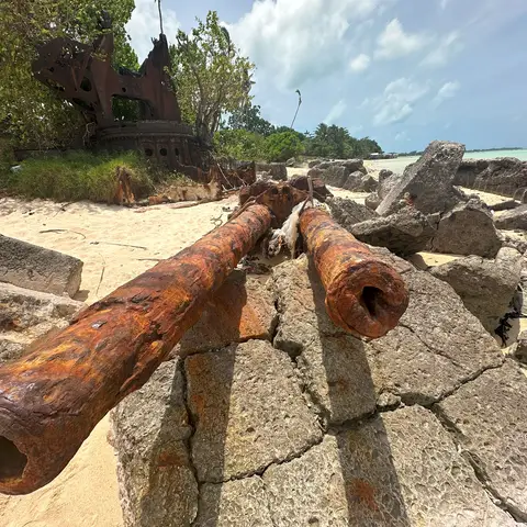 A pair of corroded coastal defence gun barrels at Black Beach 1. Photo credit Michael Garside.