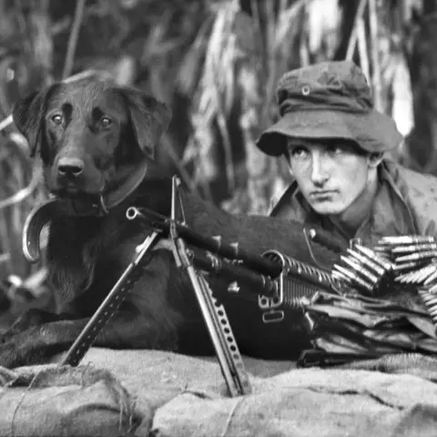 Tiber, a Labrador tracker dog with the 7RAR, is on piquet duty with his personal handler