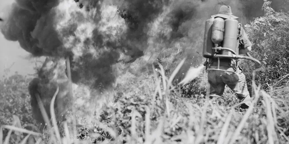 A man with a flamethrower on his back sets fire to the grass as smoke billows ahead.