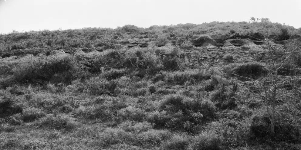 A line of Turkish firing loopholes above covered trenches at Lone Pine