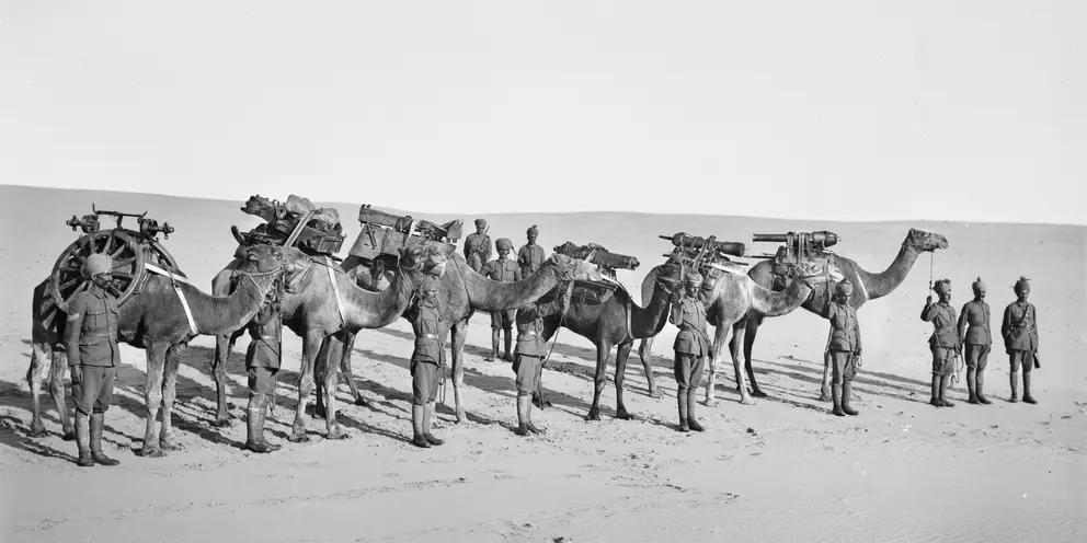 Members of the Hong Kong and Singapore Mountain Battery with their camels