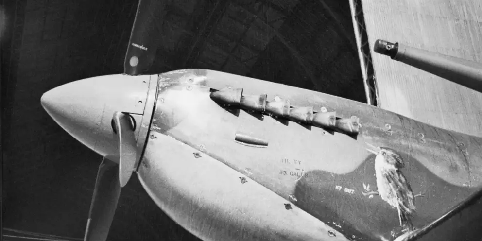 The nose of a Supermarine Spitfire Mk VIII of No. 451 Squadron RAAF with the image of a kookaburra painted on it, probably at Cuers airfield in southern France. AWM P00712.052