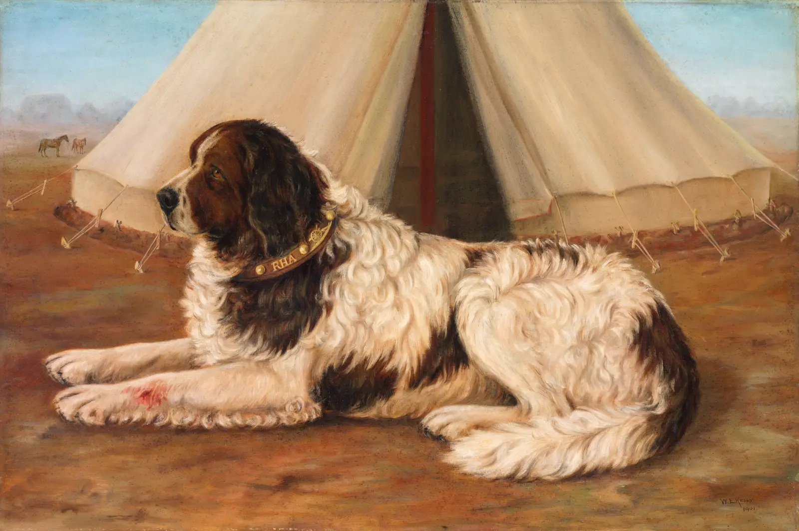 St Bernard
