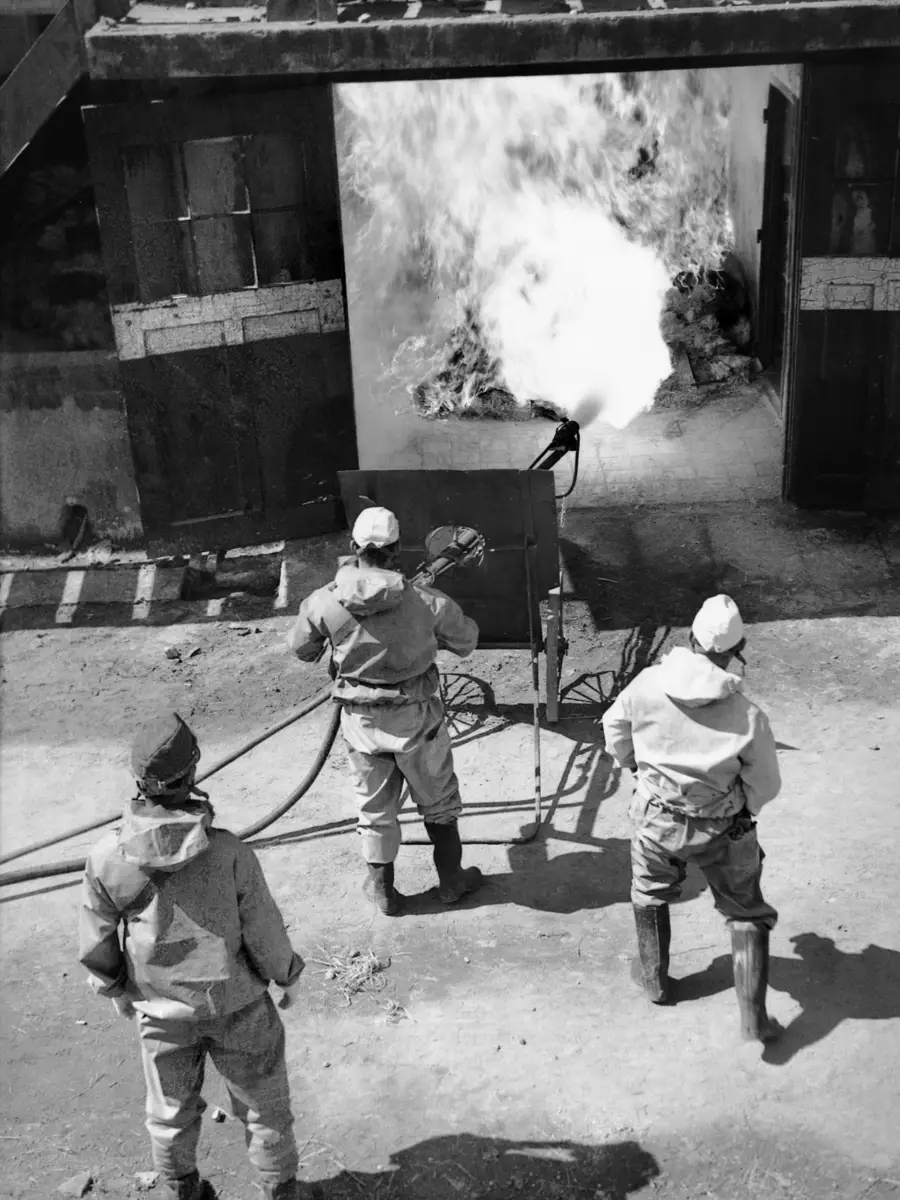 Japanese workmen wearing gas masks directing jet from a mobile flame-thrower towards a pile of gasoline-soaked debris.