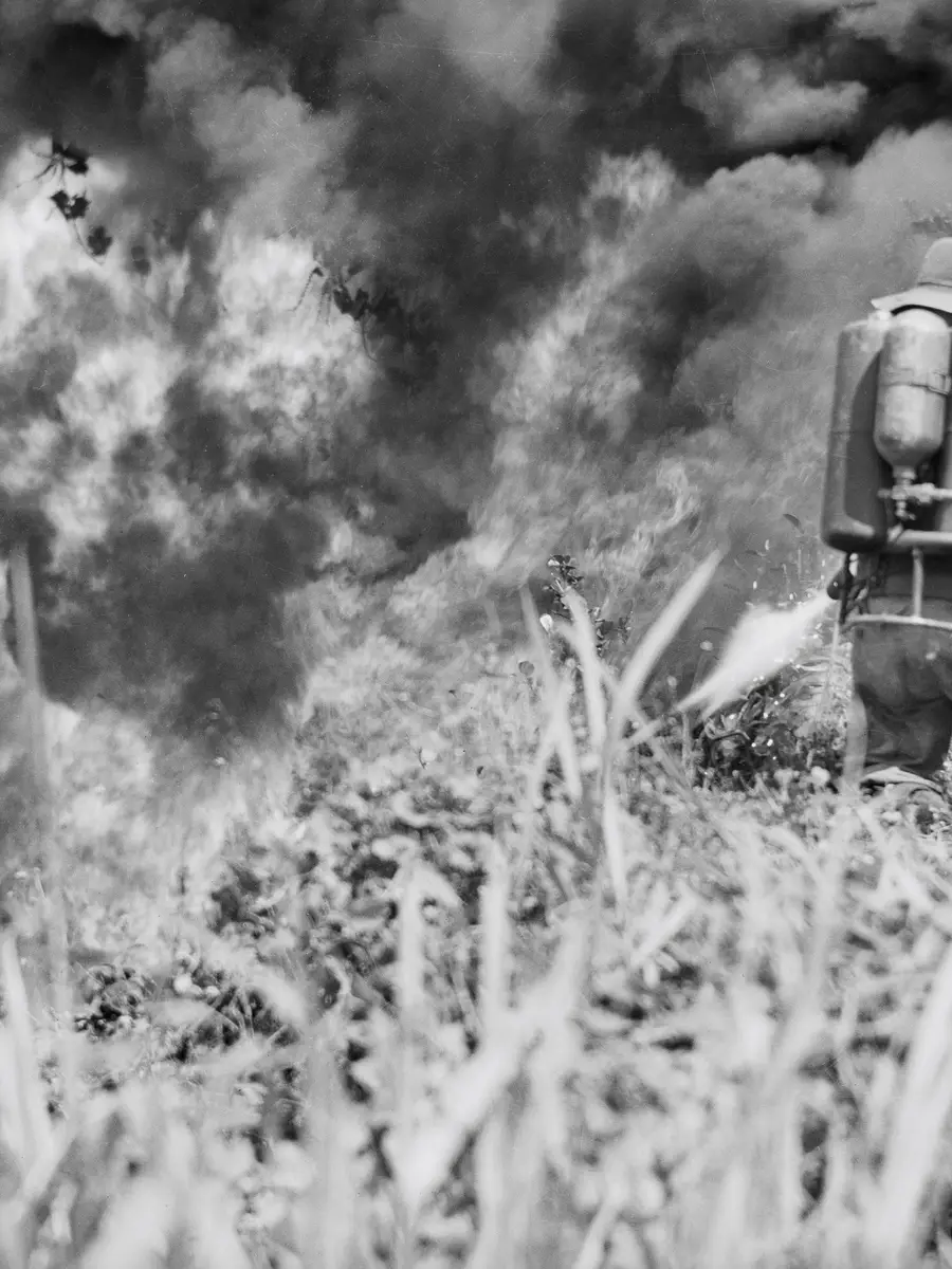 A man with a flamethrower on his back sets fire to the grass as smoke billows ahead.
