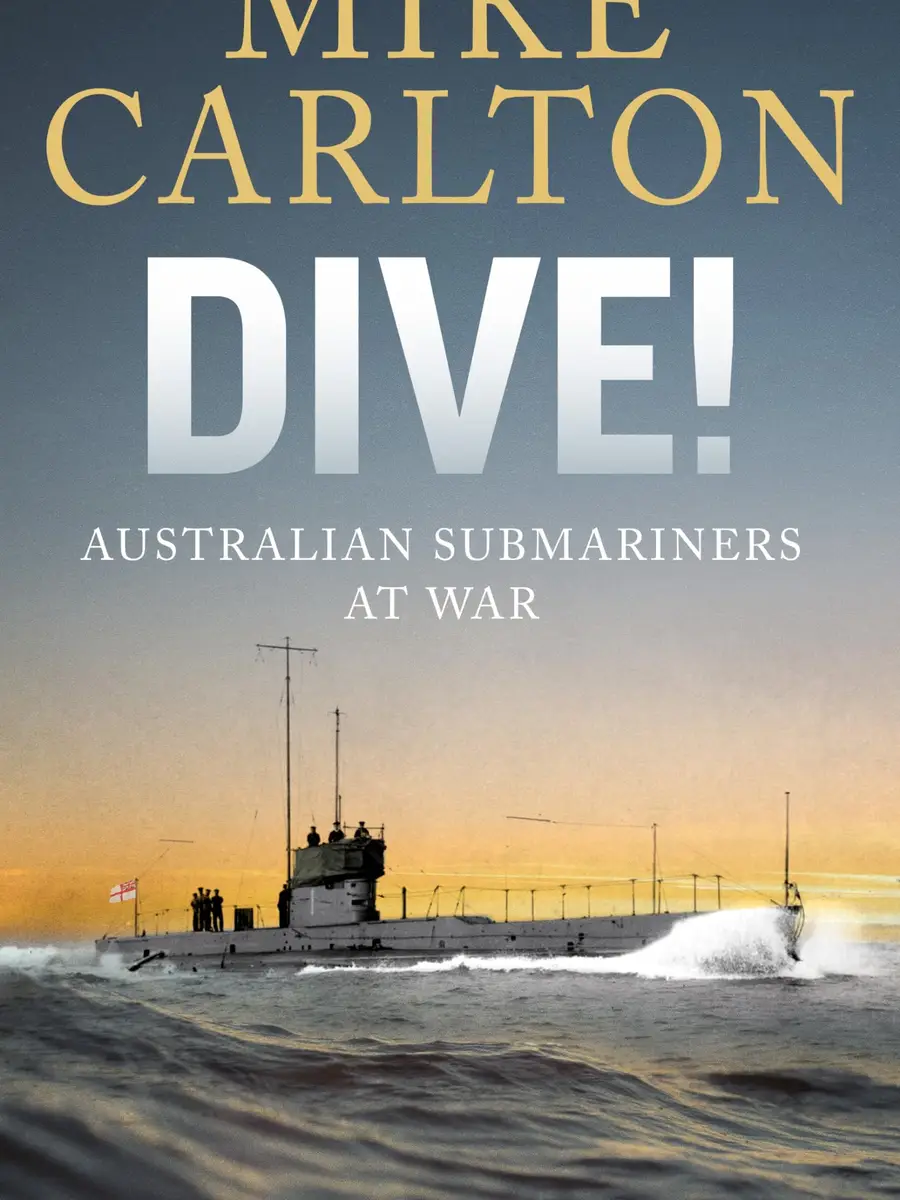 Dive book cover