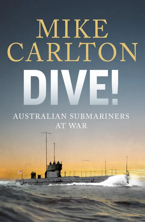 Dive book cover