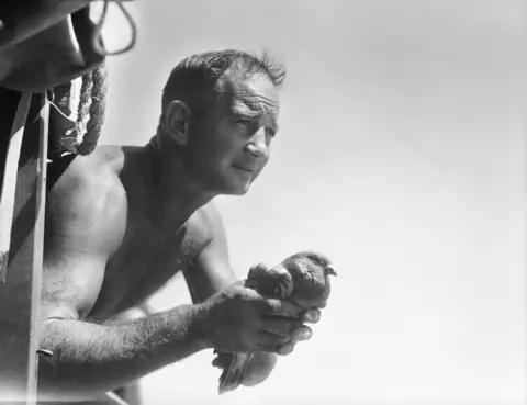 A carrier pigeon carrying a message that sick patients of 2/6 Cavalry (Commando) Regiment are being brought to cape Wom 