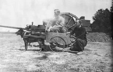 A German message dog captured by the 13th Battalion near Villers-Bretonneux on 3 May 1918. The two soldiers in and behind the dog cart are Corporal Green and Private Martin.