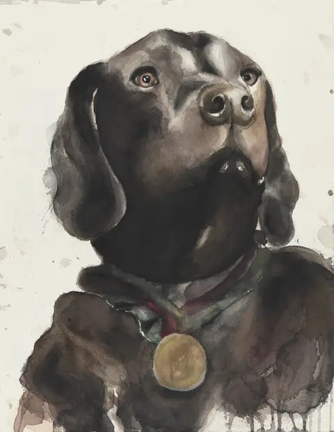 Sarbi – Explosive Detection Dog
