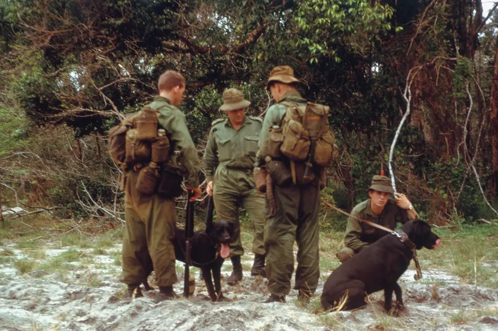 Two tracker dogs and soldiers