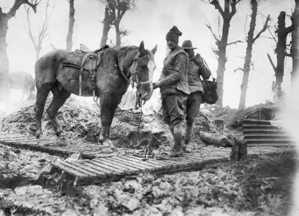An artillery horse and its Australian driver on a duckboard track