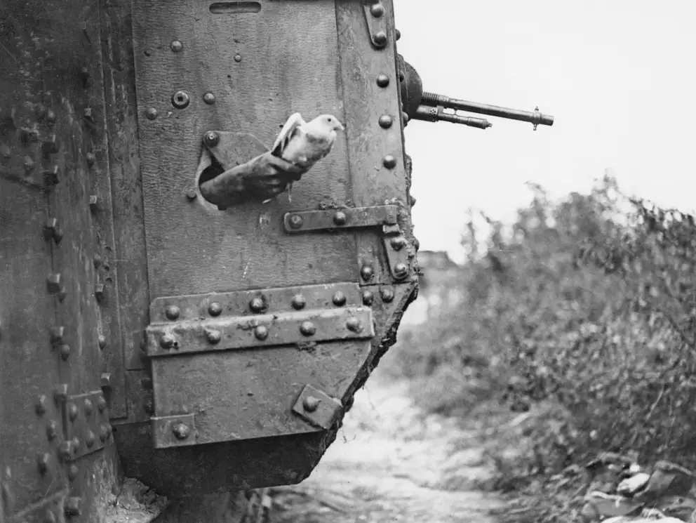 A carrier pigeon being released from a British Army tank gun turret